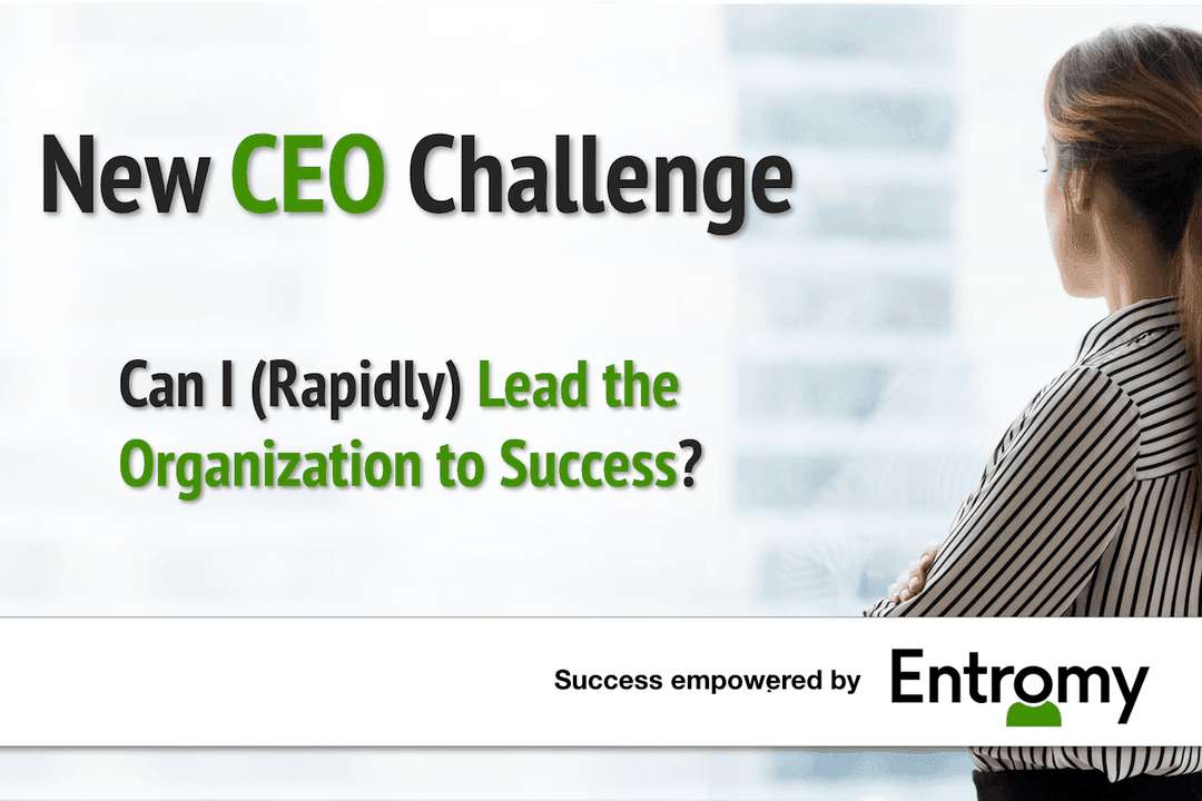 New CEO Challenge: Can I (Rapidly) Lead the Organization to Success?