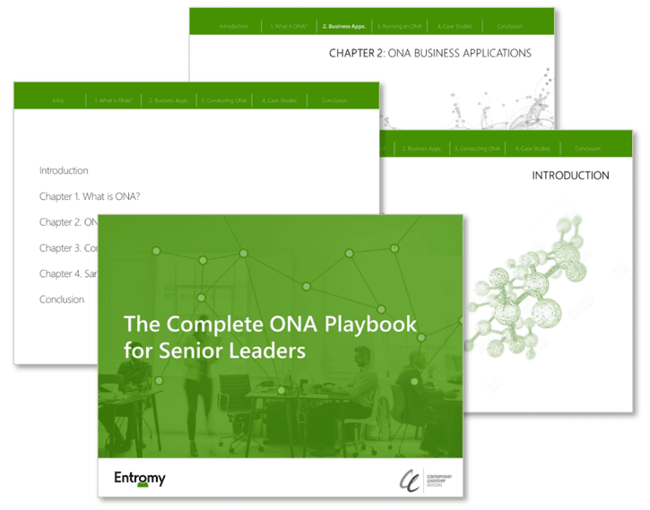 The Complete ONA Playbook for Senior Leaders preview